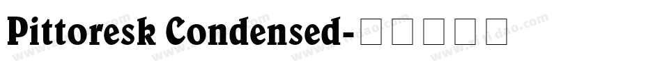 Pittoresk Condensed字体转换